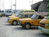 taxiyat - um qalandia herum